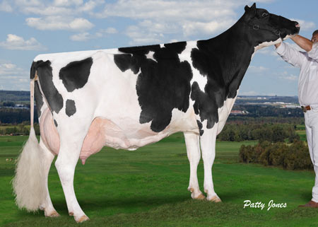 Comestar Model Liza Outside VG-87 12*