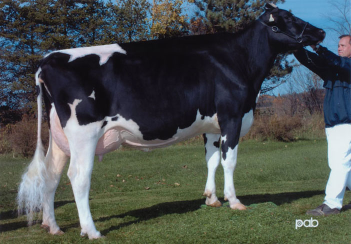 Amities Titanic Loriane VG-89 2*