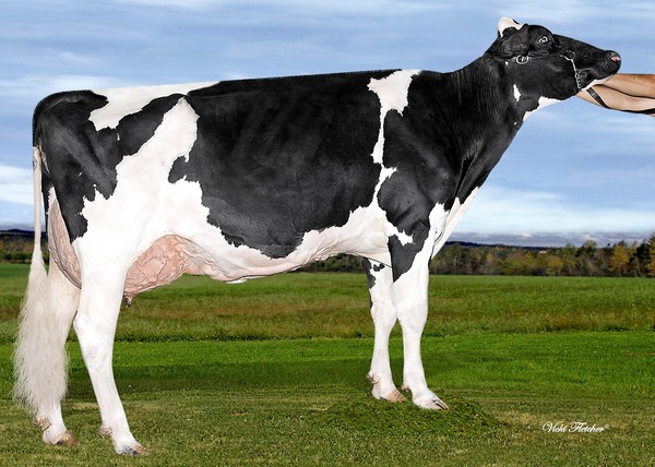 Amities AltaMeteor Lautamie VG-87 (MS:90)