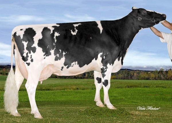 Lautilla