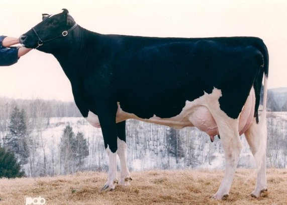 Derianne Rudolph Karma VG-86 13*