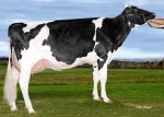 Amities AltaMeteor Lautamie VG-87 (MS:90)