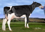 Amities Bolton Iclemence VG 2Yr 1*