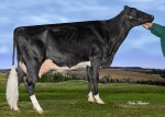 Amities Goldwyn Laurence EX 3E 5*
