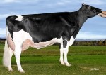 Amities Man O Man Lover Sexy VG-87