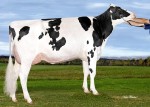 Amities McCutchen Minny GP-84 2Yr (MS:86)