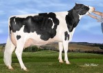 Amities Planet Lovergirls VG-86 2Yr