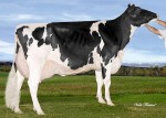 Amities Reggie Laura EX-93 3E 8*