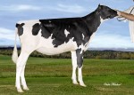 Amities Shottle Lotus VG 2Yr