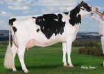 Comestar Model Mikey Laudan VG-87 1*